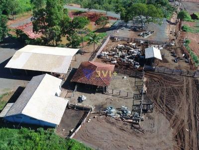 Fazenda para Venda, em Caetanpolis, bairro , 5 dormitrios, 1 banheiro