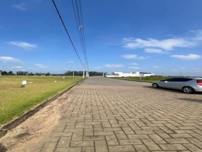 Terreno para Venda, em , bairro Cidade Universitrio (bairro inteligente)