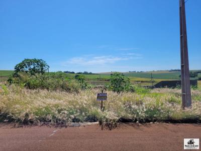 Terreno para Venda, em Sertaneja, bairro BAIRRO BOM JESUS