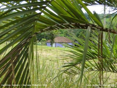 Stio / Chcara para Venda, em Mariana Pimentel, bairro Boeiro da Patricia - Mariana Pimentel, 3 dormitrios, 1 banheiro, 1 vaga