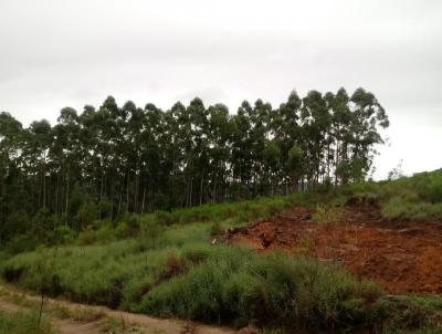 Stio / Chcara para Venda, em , bairro Linha Dr. Flores -Mariana Pimentel