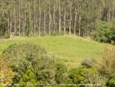 rea Rural para Venda, em Baro do Triunfo, bairro Outros