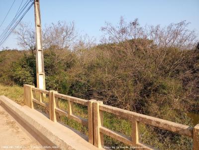 rea Rural para Venda, em Barra do Ribeiro, bairro Centro