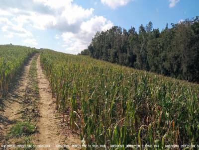 rea Rural para Locao, em Mariana Pimentel, bairro Passo da Mnica, 4 dormitrios, 1 banheiro, 1 vaga