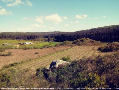 rea Rural para Venda, em Mariana Pimentel, bairro Boqueiro, 1 dormitrio, 1 banheiro