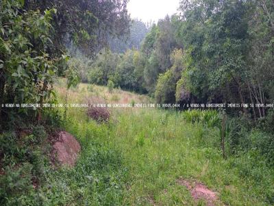 rea Rural para Venda, em Mariana Pimentel, bairro Linha Vasques