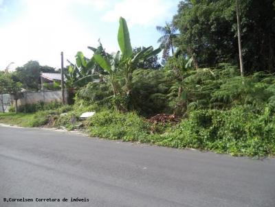 Terreno para Venda, em Guaratuba, bairro BAL. NEREIDAS