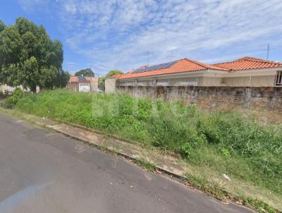 Terreno para Venda, em Araatuba, bairro Presidente