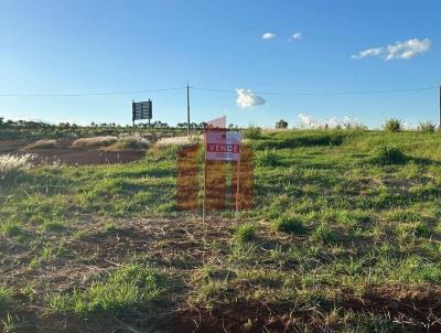 Terreno para Venda, em Santa Rosa, bairro Auxiliadora