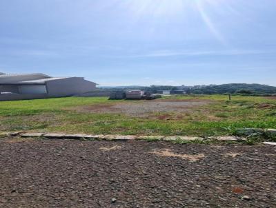 Terreno para Venda, em Videira, bairro Recanto da Natureza