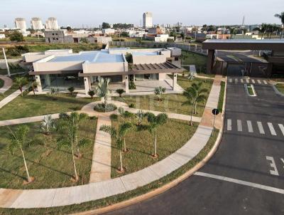 Terreno para Venda, em Araatuba, bairro Residencial Alia Quinta do Ip