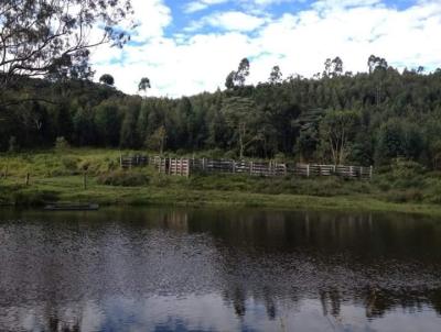 Fazenda para Venda, em Joanpolis, bairro OUTROS, 4 dormitrios, 3 banheiros, 2 sutes, 3 vagas