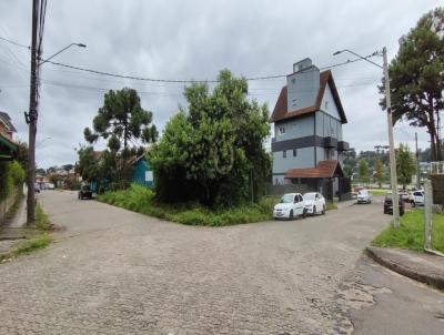 Terreno para Venda, em Canela, bairro Leodoro Azevedo