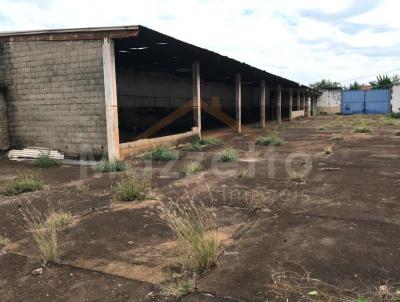 Terreno para Venda, em Ribeiro Preto, bairro Campos Elseos