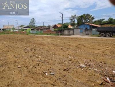 Terreno para Venda, em Balnerio Piarras, bairro Itacolomi