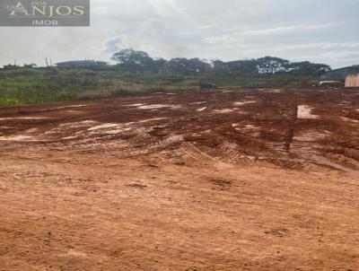 Terreno para Venda, em Barra Velha, bairro Itajuba