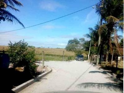 Chcara para Venda, em Quissam, bairro Stio Bom Fim, 2 dormitrios, 1 banheiro