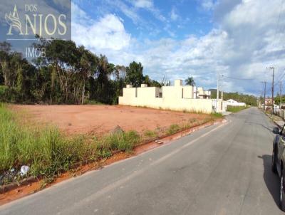 Terreno para Venda, em Barra Velha, bairro Centro