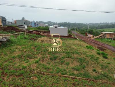 Terreno para Venda, em Santa Rosa, bairro Cruzeiro