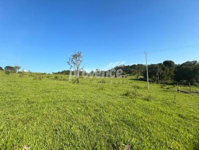 Fazenda para Venda, em Glia, bairro Centro