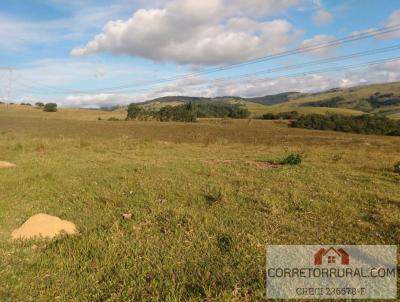 Fazenda para Venda, em Piedade, bairro Corras