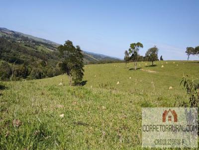 Fazenda para Venda, em Piedade, bairro Leite