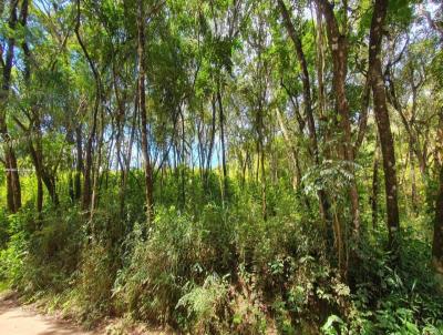 Terreno para Venda, em Itabirito, bairro Calado - Acuru