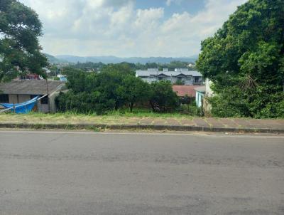 Terreno para Venda, em Sapiranga, bairro Centro