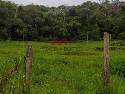 Terreno para Venda, em Mogi das Cruzes, bairro Cocuera