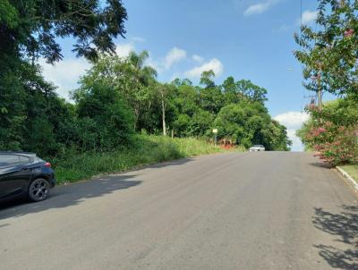 Terreno para Venda, em Sapiranga, bairro So Luis