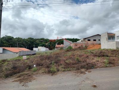 Lote para Venda, em Irati, bairro Vila Verde