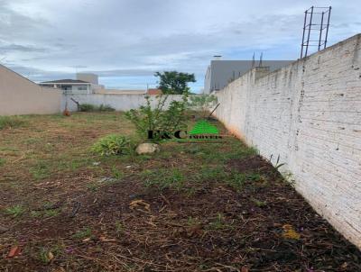 Terreno para Venda, em Cordeirpolis, bairro Jardim Jose Corte