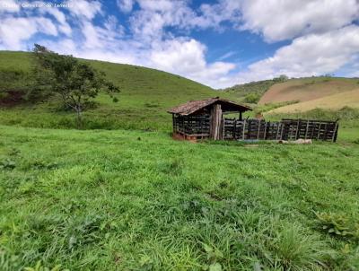 Fazenda para Venda, em Itaverava, bairro Zona Rural