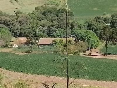 rea para Venda, em Crissiumal, bairro INTERIOR, 3 dormitrios, 1 banheiro, 1 vaga