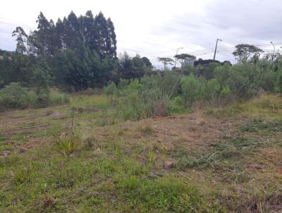 Lote para Venda, em Caxias do Sul, bairro Ana Rech