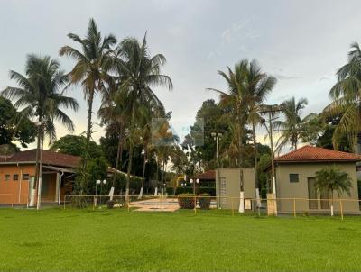 Chcara para Venda, em Ribeiro Preto, bairro Recreio Internacional, 3 dormitrios, 4 banheiros, 3 sutes, 5 vagas