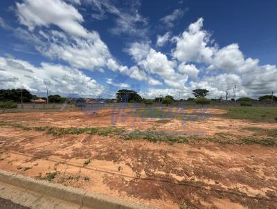 Terreno para Venda, em Presidente Venceslau, bairro Centro