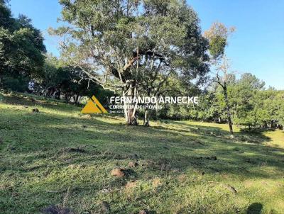 Stio / Chcara para Venda, em So Francisco de Paula, bairro Zona Rural