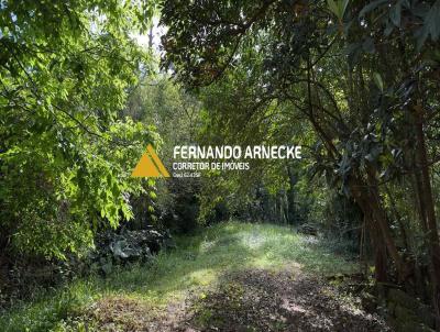 Terreno para Venda, em Sapiranga, bairro Amaral Ribeiro