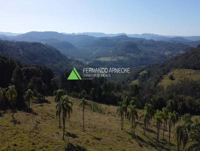 Stio / Chcara para Venda, em Trs Coroas, bairro Zona Rural