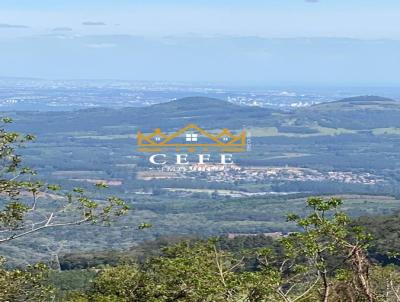 Stio / Chcara para Venda, em Morro Reuter, bairro Mato Comprido