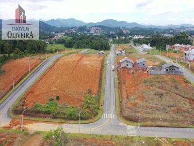 Terreno para Venda, em Indaial, bairro Benedito