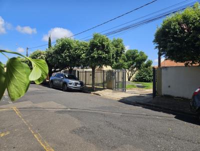 Comercial para Venda, em So Jos do Rio Preto, bairro SANTA CATARINA, 3 dormitrios, 2 banheiros, 2 vagas