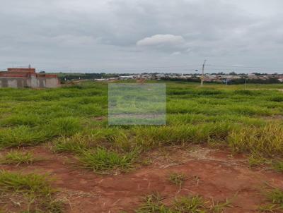 Terreno para Venda, em , bairro Jardim Valparaso