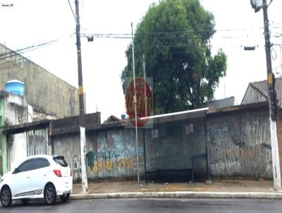 Terreno para Venda, em So Paulo, bairro Parque Santa Rita