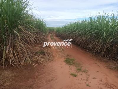 Fazenda para Venda, em Casa Branca, bairro Centro