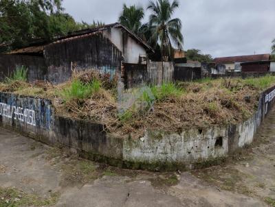 Terreno para Venda, em Perube, bairro Centro