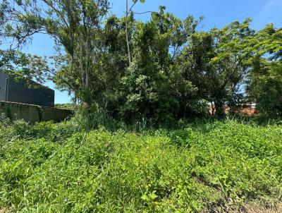 Terreno para Venda, em Itanham, bairro Palmeiras