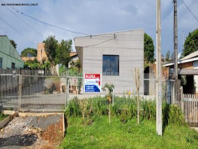 Casa para Locação, em Guarapuava, bairro Vila Carli