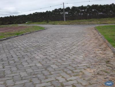 Terreno para Venda, em Alagoinhas, bairro BA-504